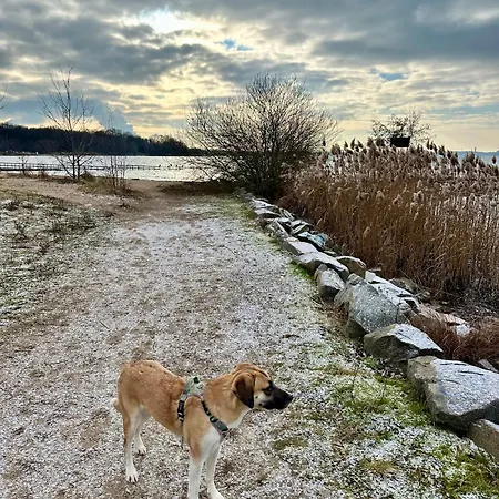 Apartament Zwischen Leipzig Und Cospudener Hohe Gaeste