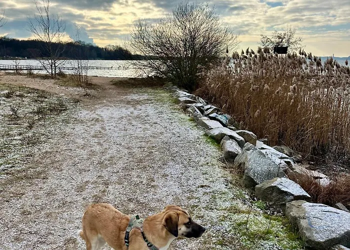 Apartament Zwischen Leipzig Und Cospudener Hohe Gaeste